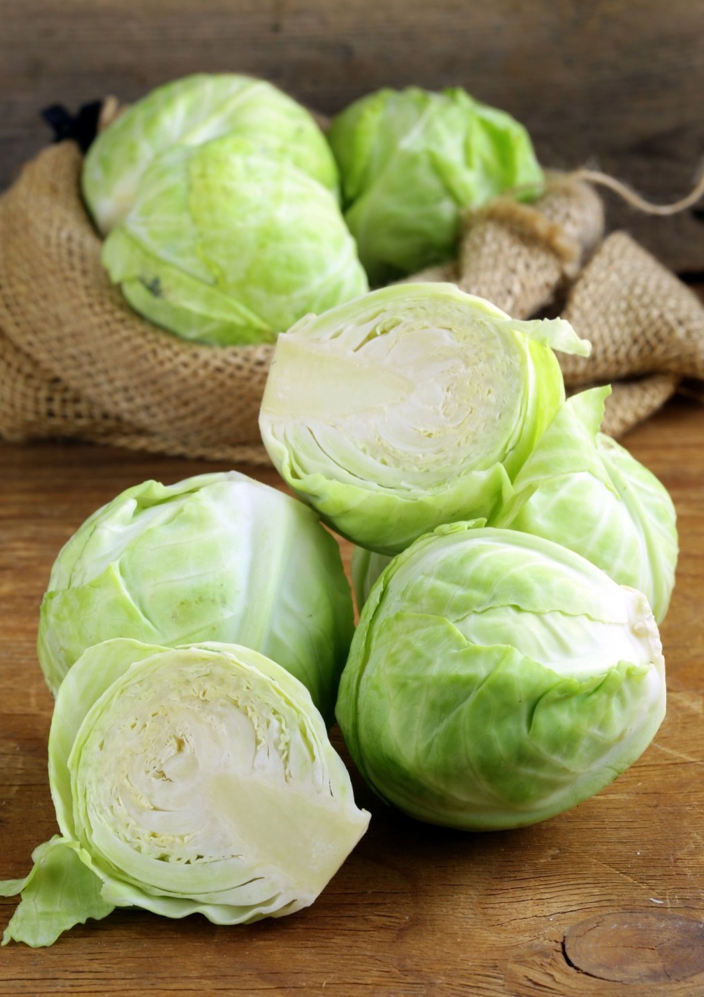 Bulk Buy White Cabbage Wholesale KFF